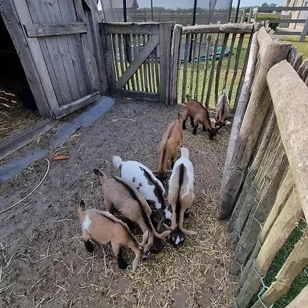 Holiday home Vakantiehoeve 't Goed Ter Leeuwen