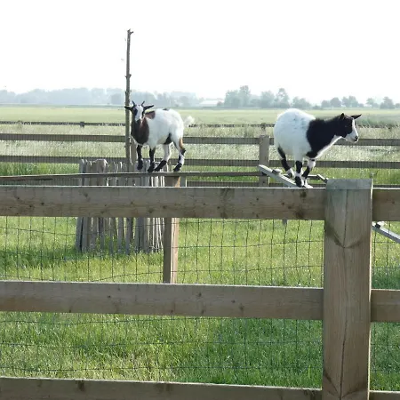 Vakantiehoeve 't Goed Ter Leeuwen בית נופש *