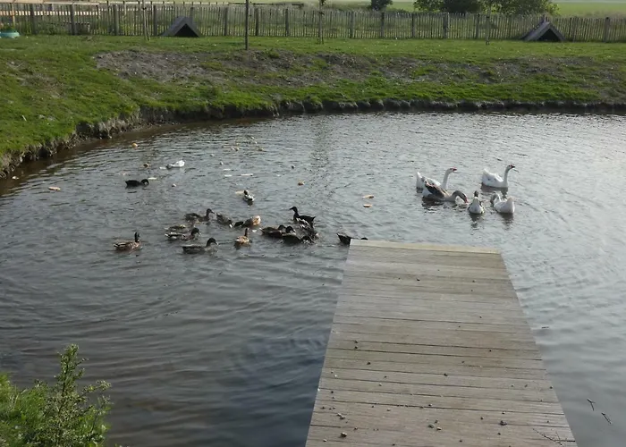 Holiday home Vakantiehoeve 't Goed Ter Leeuwen De Haan