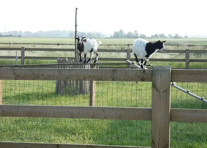 Vakantiehoeve 't Goed Ter Leeuwen Holiday home *