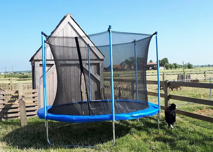 Vakantiehoeve 't Goed Ter Leeuwen * De Haan